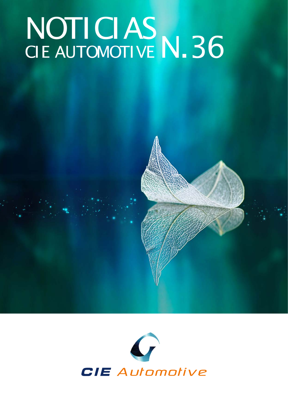 Revista Nº36